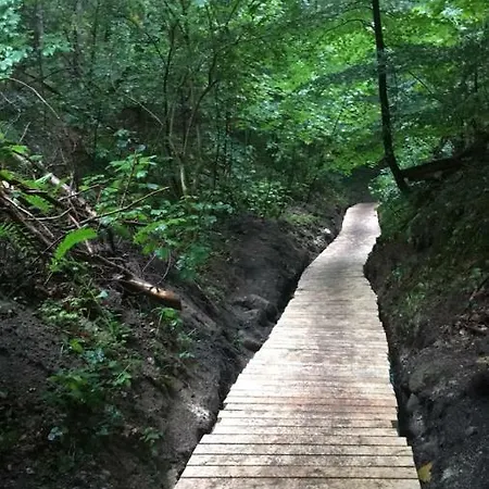 Obok Willi W Rozewiu Jastrzębia Góra